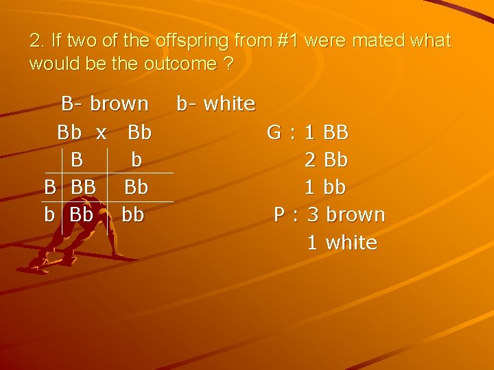 2. If two of the offspring from #1 were mated what would be the