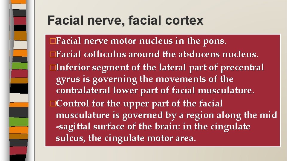 Facial nerve, facial cortex �Facial nerve motor nucleus in the pons. �Facial colliculus around Facial nerve, facial cortex �Facial nerve motor nucleus in the pons. �Facial colliculus around