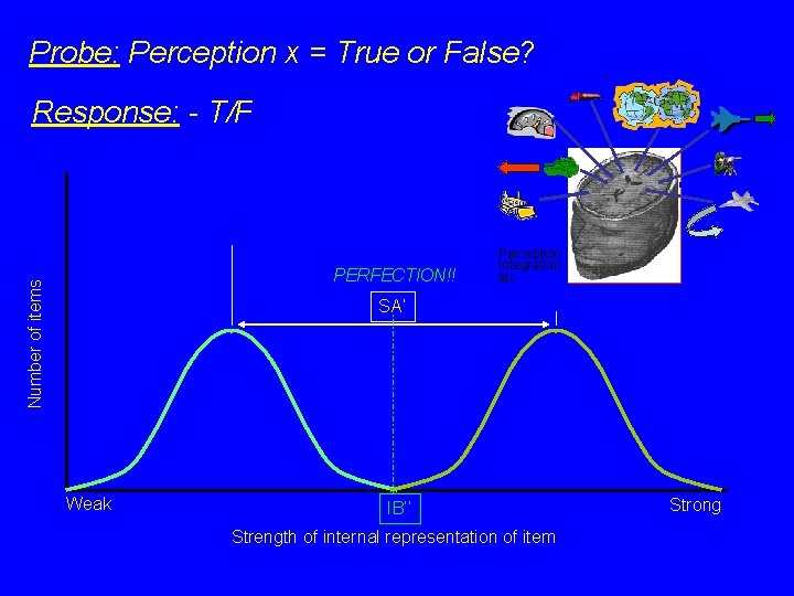 Probe: Perception x = True or False? Response: - T/F Number of items PERFECTION!!