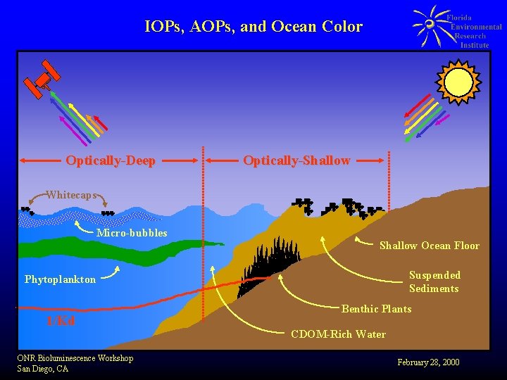 IOPs, AOPs, and Ocean Color Optically-Deep Optically-Shallow Whitecaps Micro-bubbles Shallow Ocean Floor Suspended Sediments
