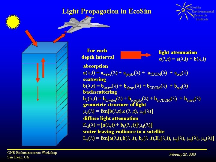 Light Propagation in Eco. Sim For each depth interval light attenuation c(l, t) =