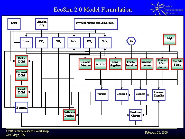 Eco. Sim 2. 0 Model Formulation Air/Sea CO 2 Dust Iron CO 2 Physical