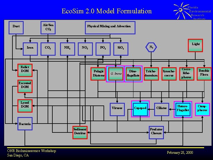 Eco. Sim 2. 0 Model Formulation Air/Sea CO 2 Dust Iron CO 2 Physical