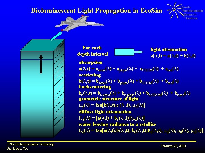 Bioluminescent Light Propagation in Eco. Sim For each depth interval light attenuation c(l, t)