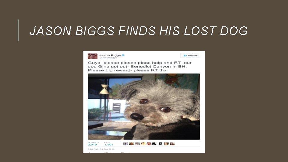 JASON BIGGS FINDS HIS LOST DOG 