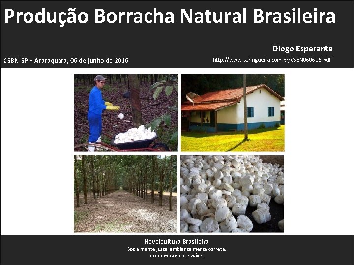 Produção Borracha Natural Brasileira Diogo Esperante CSBN-SP - Araraquara, 06 de junho de 2016