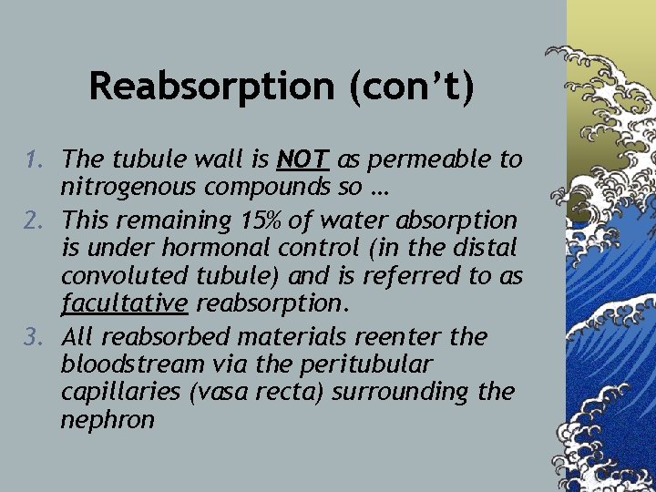 Reabsorption (con’t) 1. The tubule wall is NOT as permeable to nitrogenous compounds so
