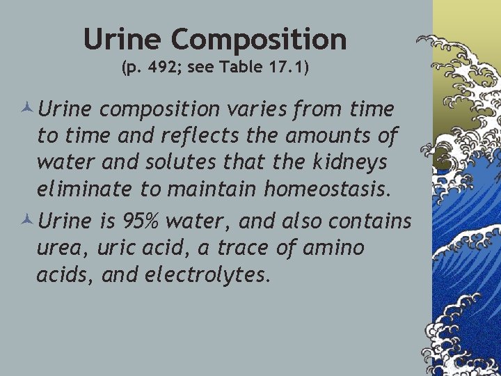Urine Composition (p. 492; see Table 17. 1) ©Urine composition varies from time to