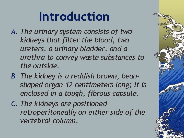 Introduction A. The urinary system consists of two kidneys that filter the blood, two