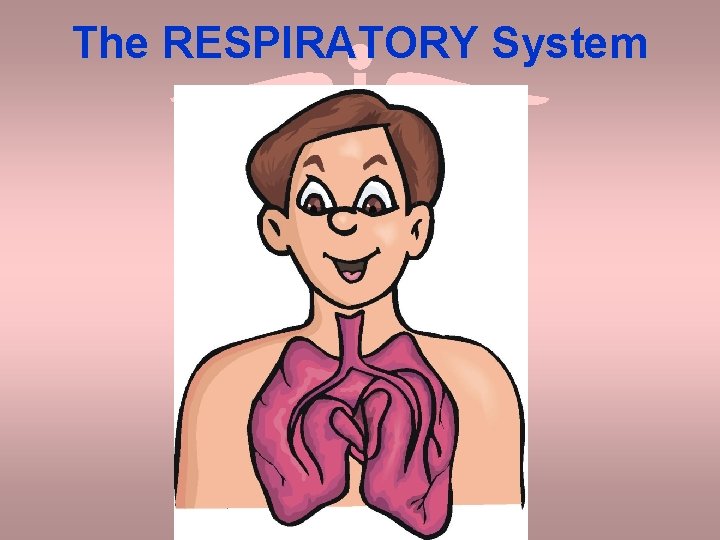 The RESPIRATORY System 