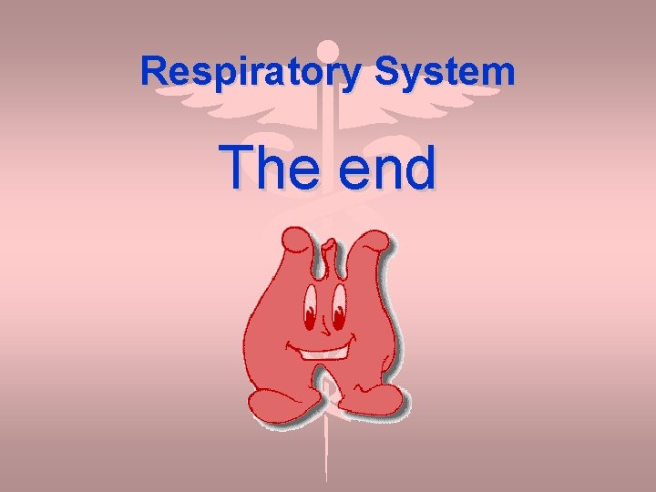 Respiratory System The end 