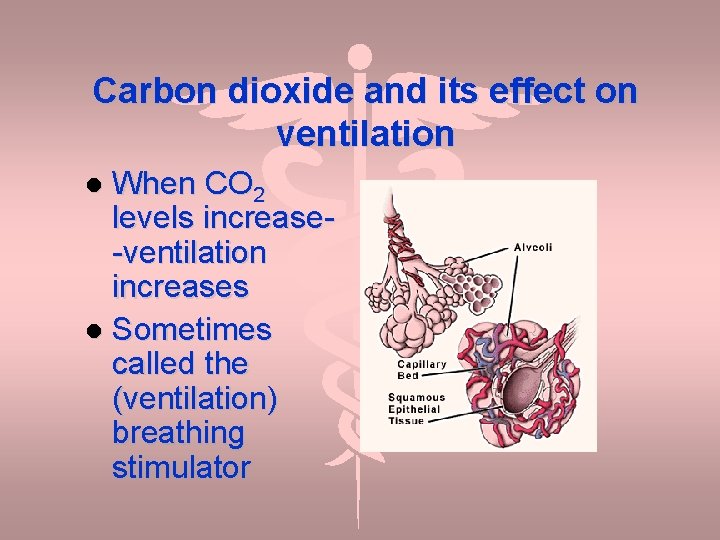Carbon dioxide and its effect on ventilation When CO 2 levels increase-ventilation increases Sometimes