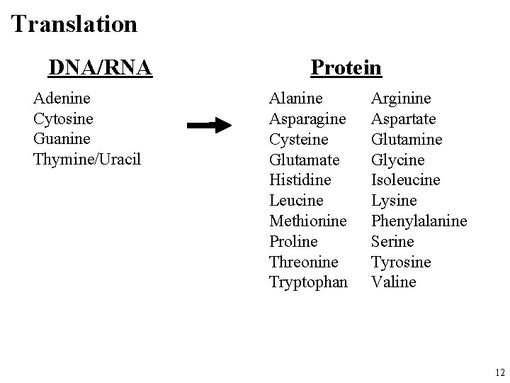 Translation DNA/RNA Adenine Cytosine Guanine Thymine/Uracil Protein Alanine Asparagine Cysteine Glutamate Histidine Leucine Methionine