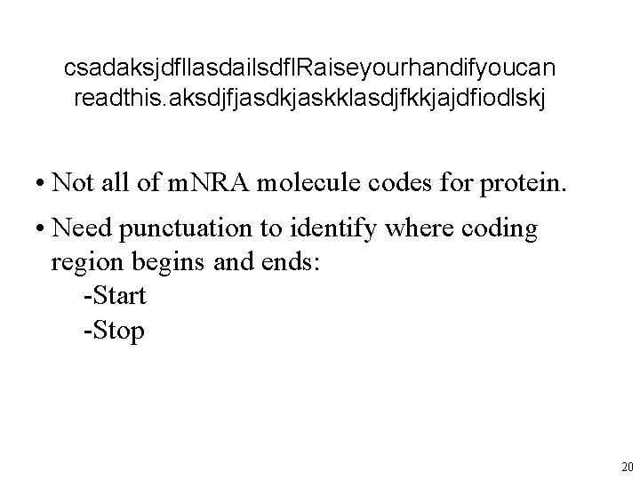 csadaksjdfllasdailsdfl. Raiseyourhandifyoucan readthis. aksdjfjasdkjaskklasdjfkkjajdfiodlskj • Not all of m. NRA molecule codes for protein.
