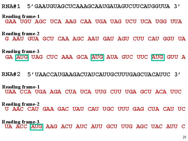 RNA#1 5’GAAUGUAGCUCAAAGCAAUGAUAGUCUUCAUGGUUA 3’ Reading frame-1 GAA UGU AGC UCA AAG CAA UGA UAG UCU