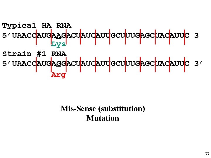 Typical HA RNA 5’UAACCAUGAAGACUAUCAUUGCUUUGAGCUACAUUC 3 Lys Strain #1 RNA 5’UAACCAUGAGGACUAUCAUUGCUUUGAGCUACAUUC 3’ Arg Mis-Sense (substitution)