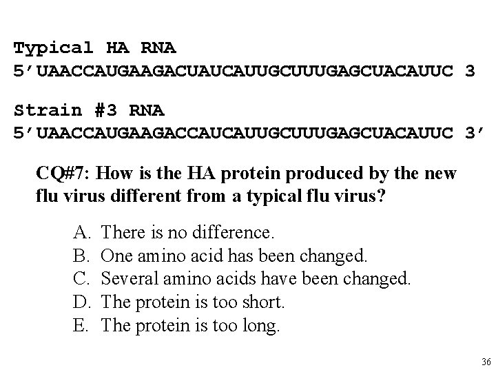 Typical HA RNA 5’UAACCAUGAAGACUAUCAUUGCUUUGAGCUACAUUC 3 Strain #3 RNA 5’UAACCAUGAAGACCAUCAUUGCUUUGAGCUACAUUC 3’ CQ#7: How is the