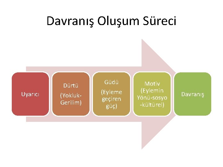 Davranış Oluşum Süreci Uyarıcı Dürtü (Yokluk. Gerilim) Güdü (Eyleme geçiren güç) Motiv (Eylemin Yönü-sosyo