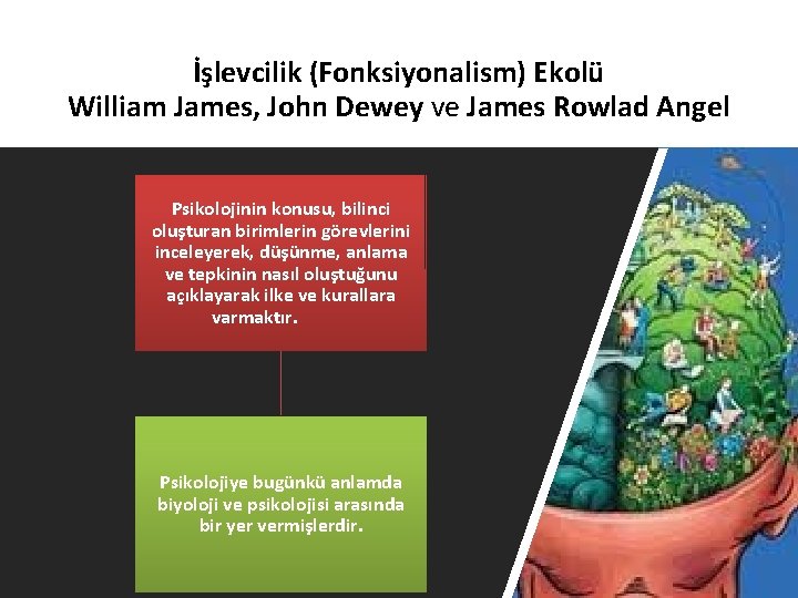 İşlevcilik (Fonksiyonalism) Ekolü William James, John Dewey ve James Rowlad Angel Psikolojinin konusu, bilinci