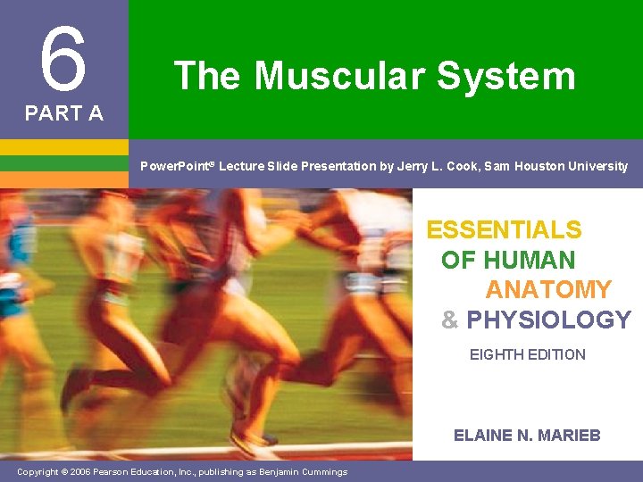 6 The Muscular System PART A Power. Point® Lecture Slide Presentation by Jerry L.
