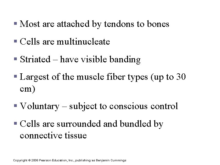 Skeletal Muscle Characteristics § Most are attached by tendons to bones § Cells are