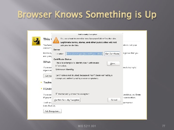 Browser Knows Something is Up MIS 5211. 001 77 