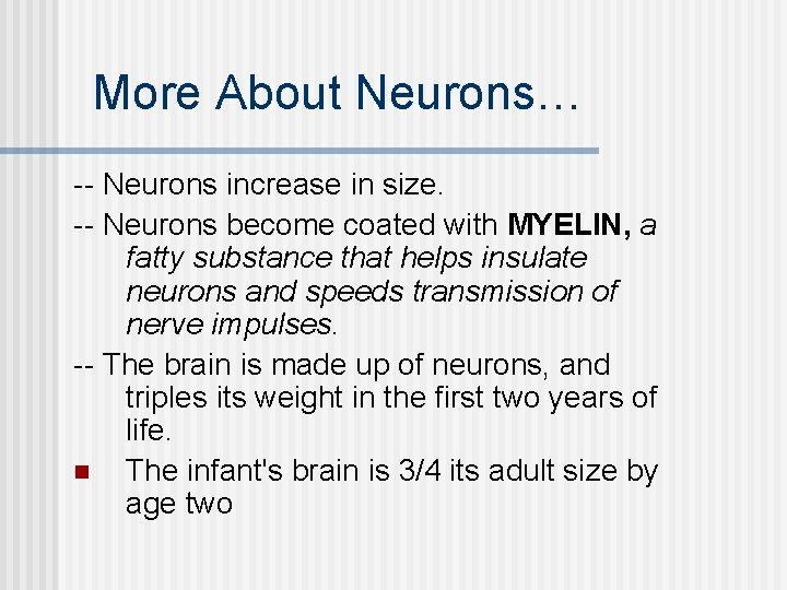 More About Neurons… -- Neurons increase in size. -- Neurons become coated with MYELIN,