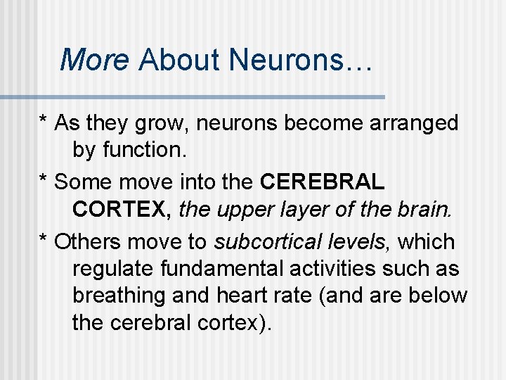 More About Neurons… * As they grow, neurons become arranged by function. * Some