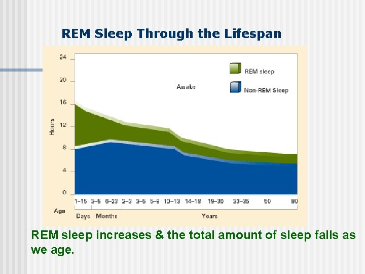 REM Sleep Through the Lifespan REM sleep increases & the total amount of sleep
