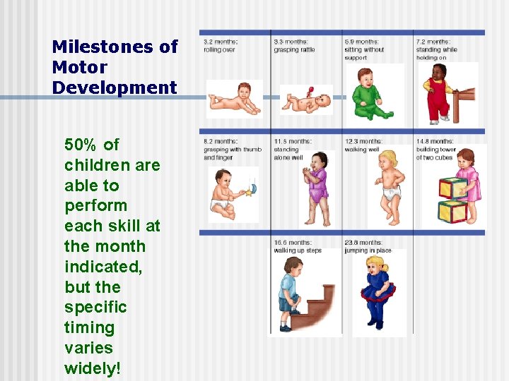 Milestones of Motor Development 50% of children are able to perform each skill at