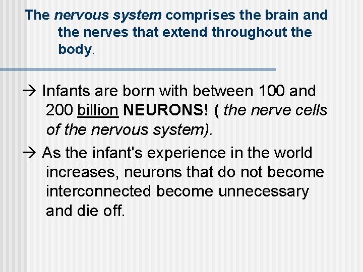 The nervous system comprises the brain and the nerves that extend throughout the body.