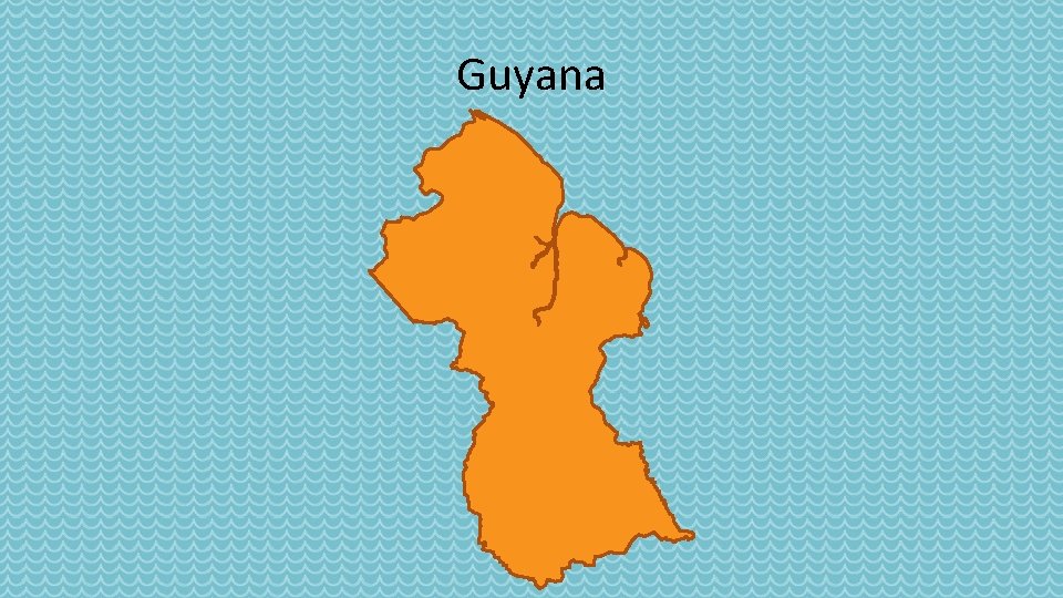 Guyana 