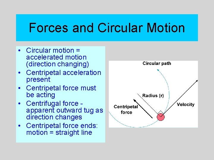 Forces and Circular Motion • Circular motion = accelerated motion (direction changing) • Centripetal