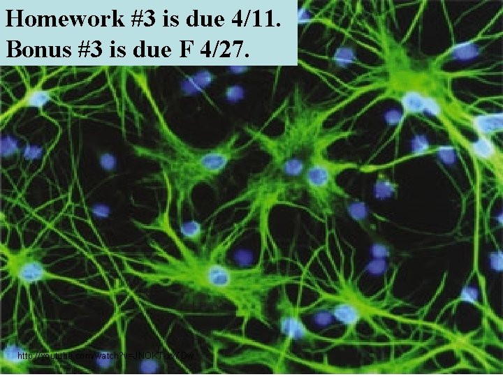 Homework #3 is due 4/11. Bonus #3 is due F 4/27. http: //youtube. com/watch?
