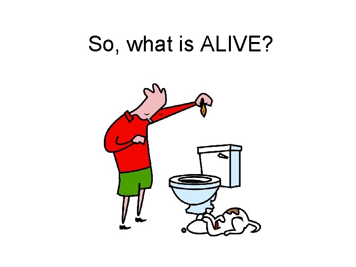 So, what is ALIVE? 