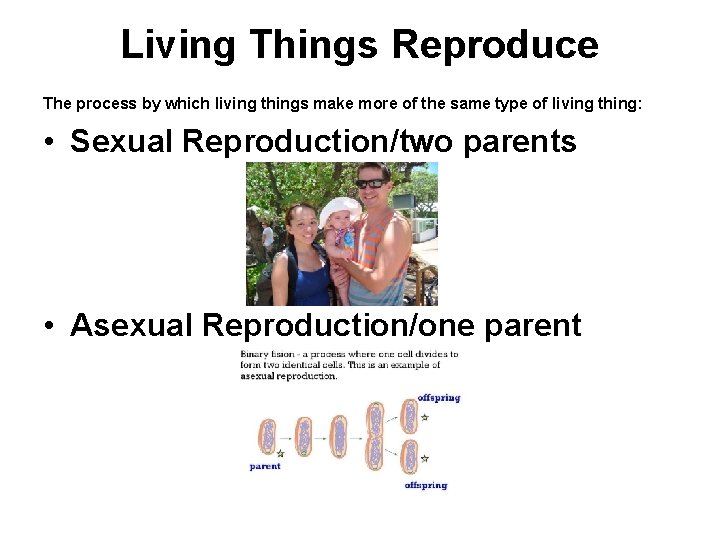 Living Things Reproduce The process by which living things make more of the same