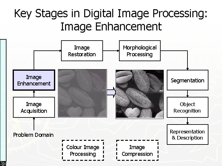 Images taken from Gonzalez & Woods, Digital Image Processing (2002) Key Stages in Digital