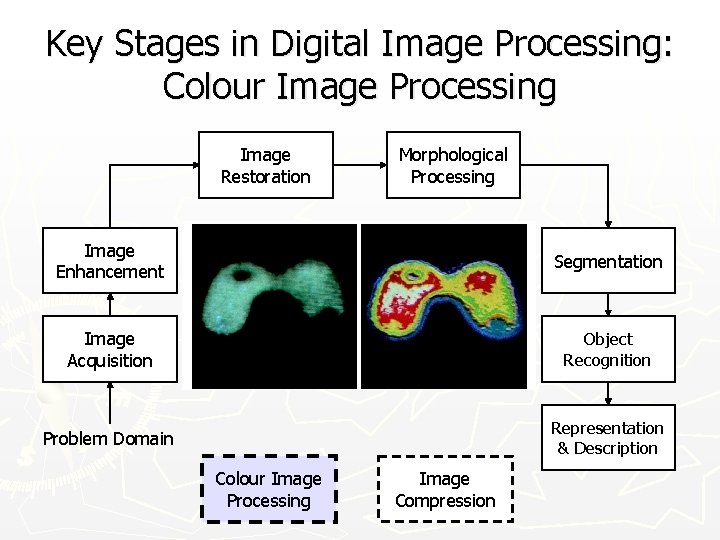 Key Stages in Digital Image Processing: Colour Image Processing Image Restoration Morphological Processing Image