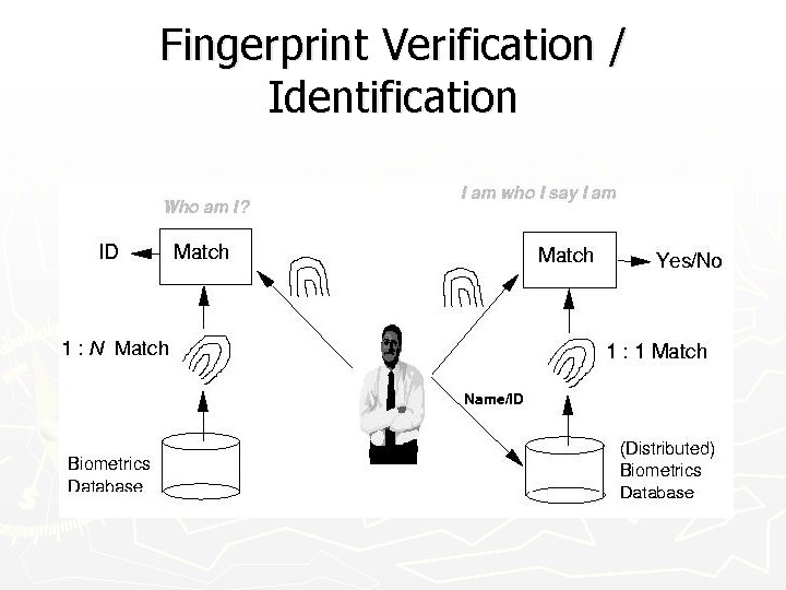 Fingerprint Verification / Identification 