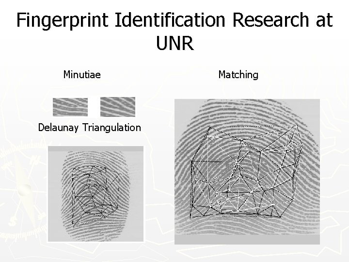 Fingerprint Identification Research at UNR Minutiae Delaunay Triangulation Matching 