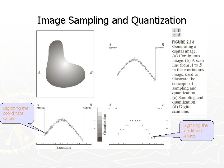 Image Sampling and Quantization Digitizing the coordinate values Digitizing the amplitude values 