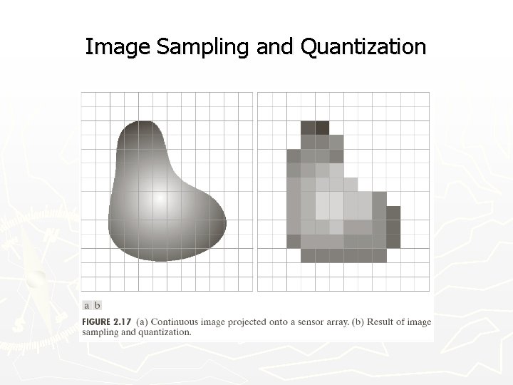 Image Sampling and Quantization 