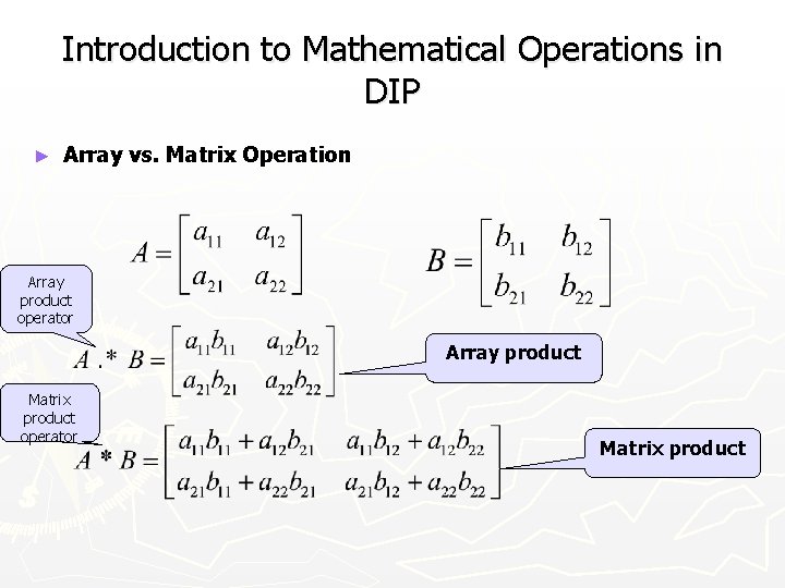 Introduction to Mathematical Operations in DIP ► Array vs. Matrix Operation Array product operator