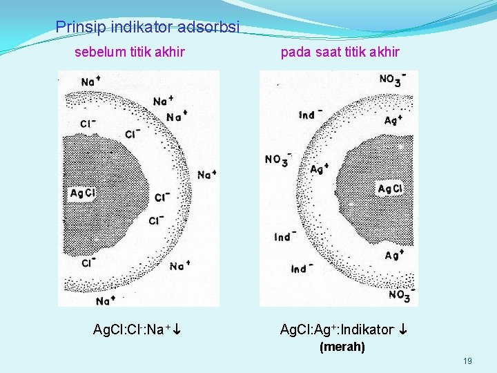 Prinsip indikator adsorbsi sebelum titik akhir Ag. Cl: Cl-: Na+ pada saat titik akhir