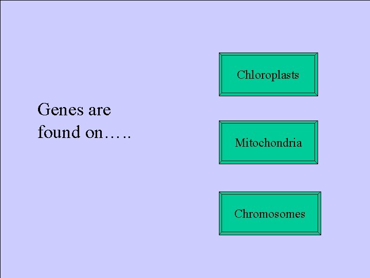 Chloroplasts Genes are found on…. . Mitochondria Chromosomes 
