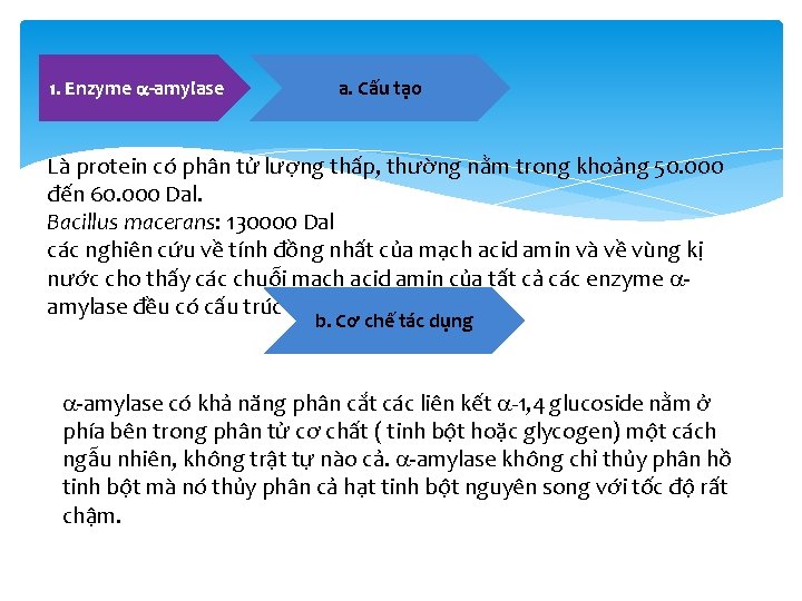 1. Enzyme -amylase a. Cấu tạo Là protein có phân tử lượng thấp, thường