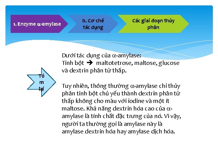 1. Enzyme -amylase Tó m lại b. Cơ chế tác dụng Các giai đoạn