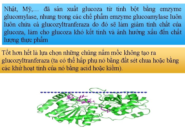 Nhật, Mỹ, … đã sản xuất glucoza từ tinh bột bằng emzyme glucomylase, nhung