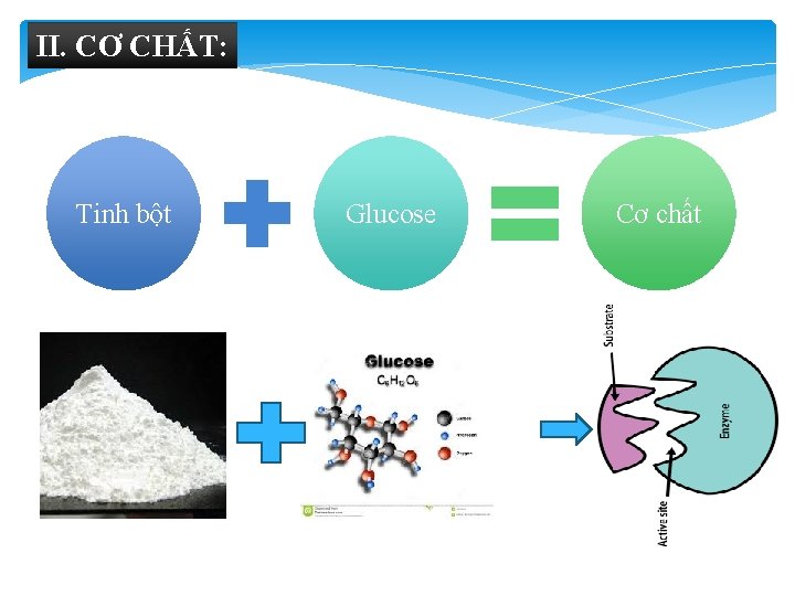 II. CƠ CHẤT: Tinh bột Glucose Cơ chất 