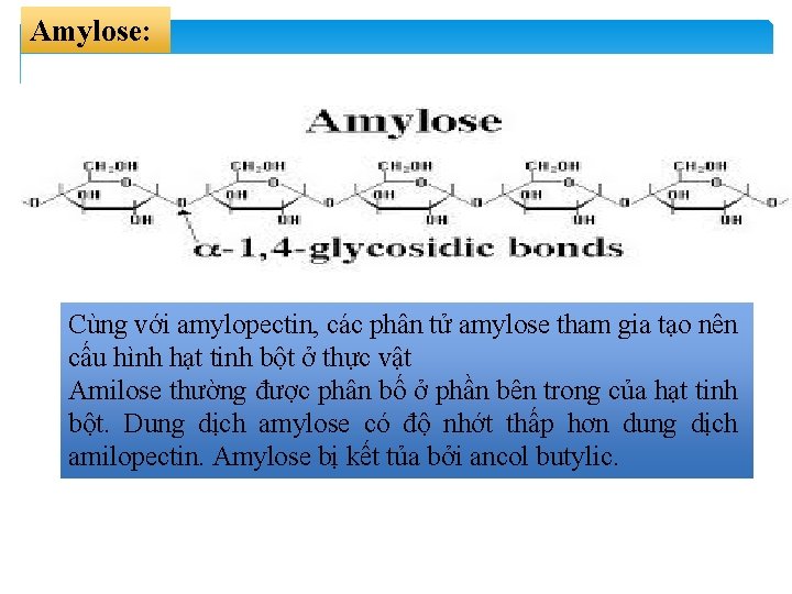 Amylose: Cùng với amylopectin, các phân tử amylose tham gia tạo nên cấu hình